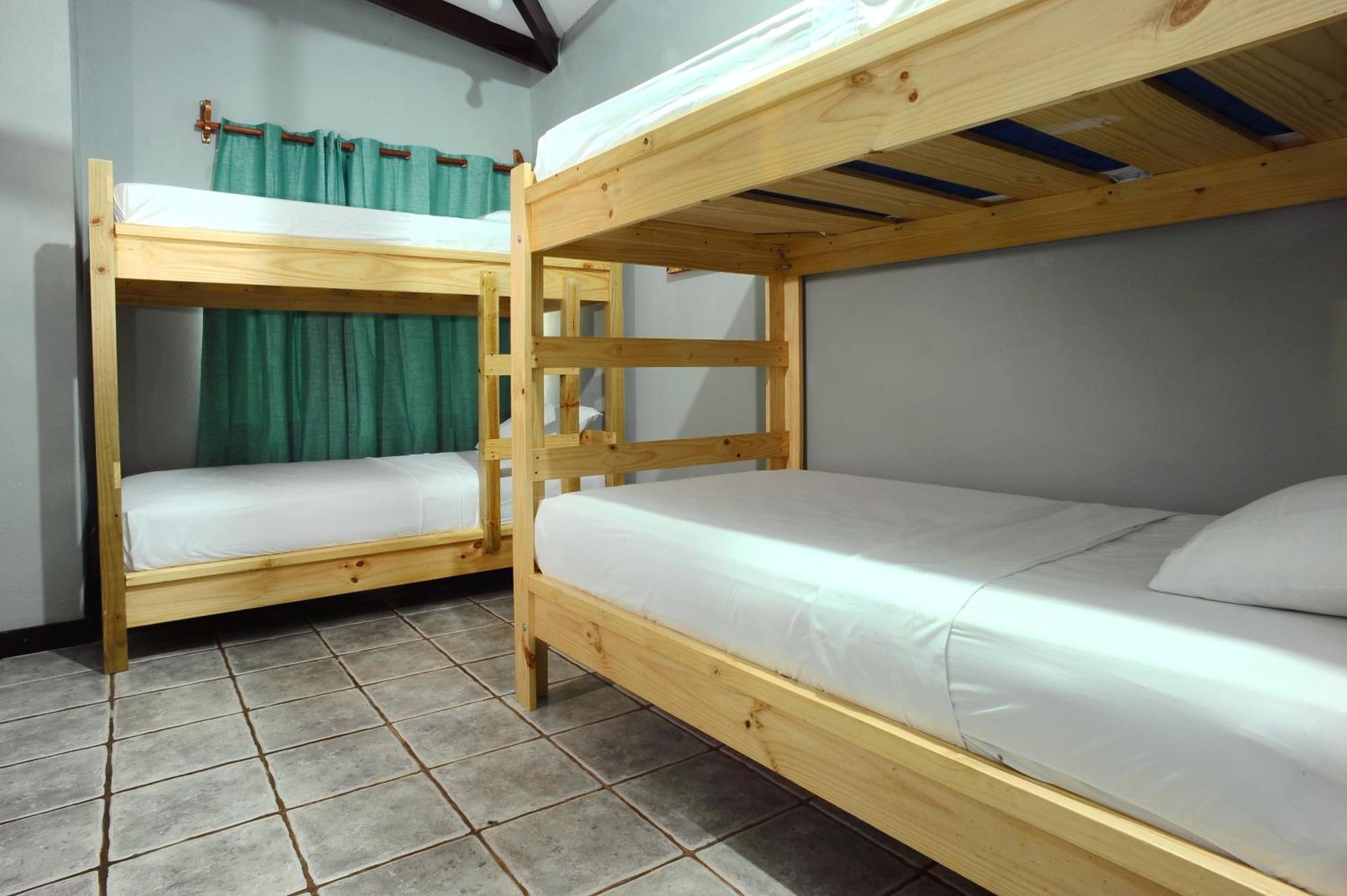 Wide Mouth Frog Quepos Hostel Manuel Antonio Buitenkant foto