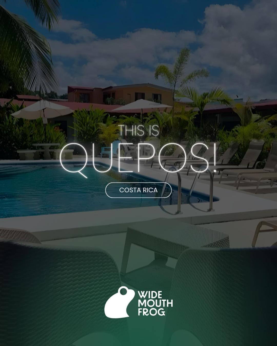 Wide Mouth Frog Quepos Hostel Manuel Antonio Buitenkant foto