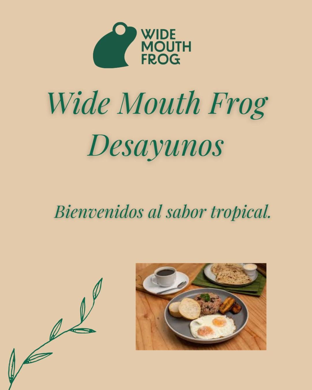 Wide Mouth Frog Quepos Hostel Manuel Antonio Buitenkant foto