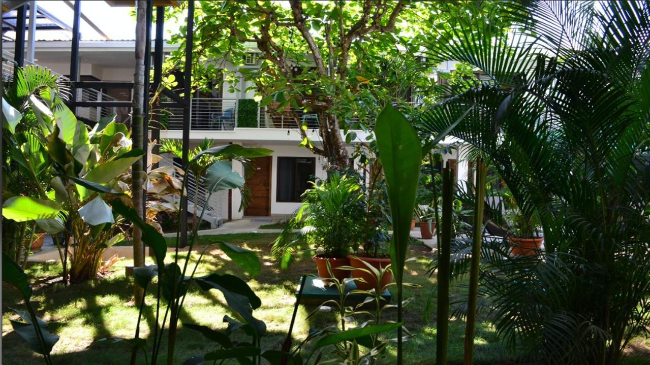 Wide Mouth Frog Quepos Hostel Manuel Antonio Buitenkant foto